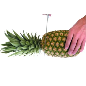 Coupe Ananas Plastique Ø 8,5 Cm X H 25 Cm Ibili 12