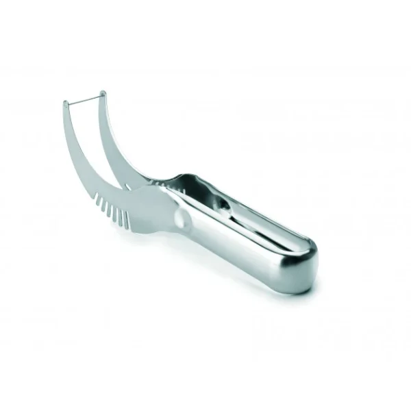 Coupe Pastèque Inox 21,5 Cm Ibili 1