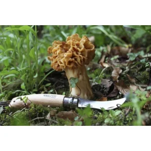 Couteau à Champignon N°8 Opinel 10