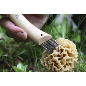 Couteau à Champignon N°8 Opinel 12